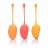 Sada Calexotics Kegel TRAINING SET mango