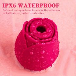 Womanizer a vibrátor na klitoris a prsné bradavky Red Rose