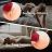 Womanizer na clitoris a prsné pradavky Flower vibrator Rose Shape